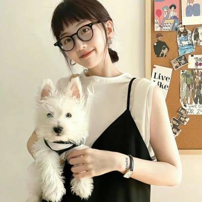歌舞飞扬